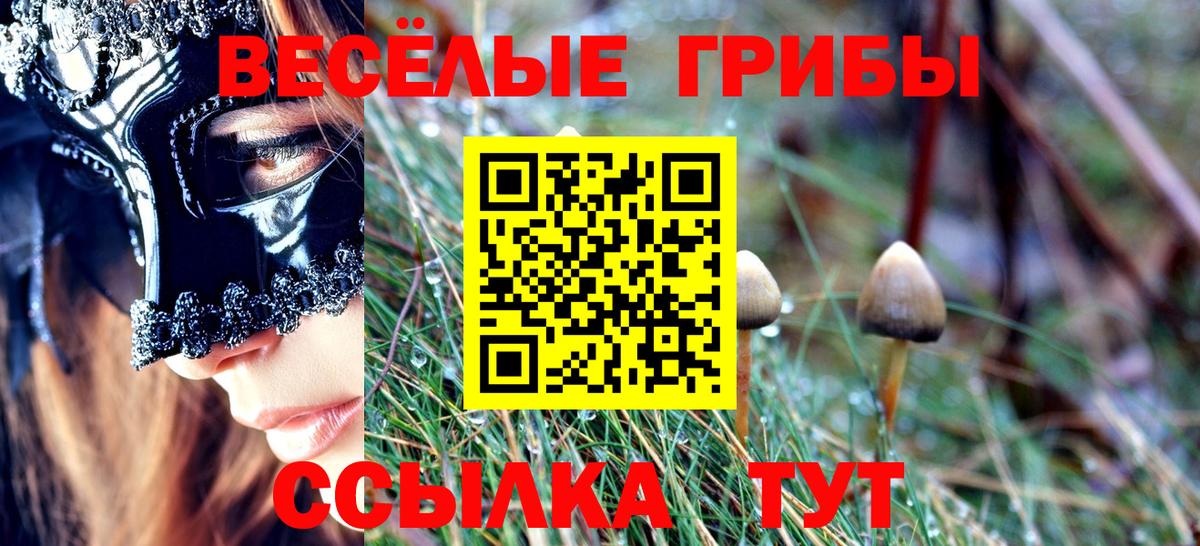 Псилоцибиновые грибы мицелий  Псилоцибиновые грибы MAGIC MUSHROOMS  Среднеуральск  Вход с VPN 